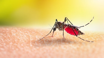 Locally acquired malaria cases confirmed in Texas and Florida as CDC calls for action plan