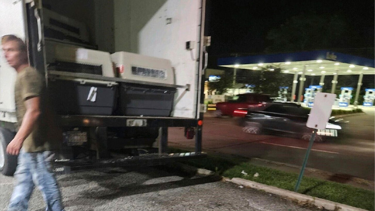 Back of truck where dogs were being transported