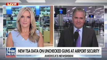 TSA finds more than 3,200 guns at airport security this year alone