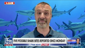 Riptides, drowning risks ‘a lot more dangerous’ than sharks: Dr. Mike Heithaus