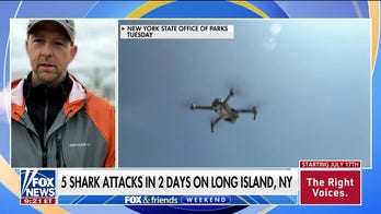 NY adds shark-scanning drones to beaches after 5 attacks in 2 days