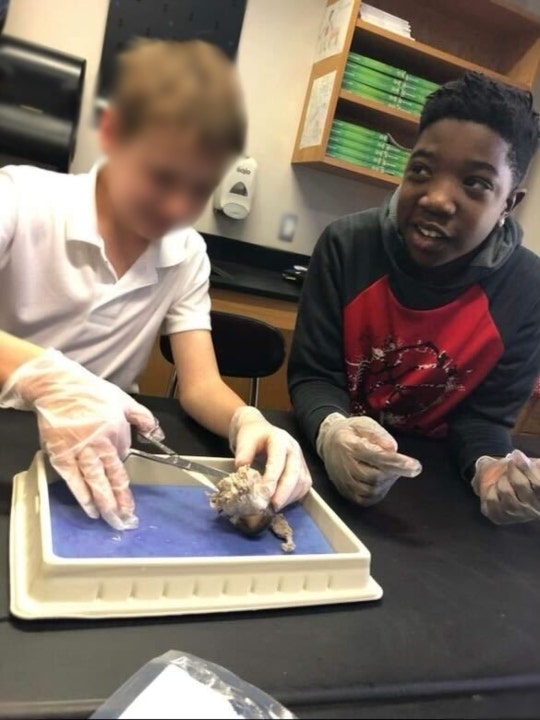 Solomon Wynn and a classmate dissect and animal in class