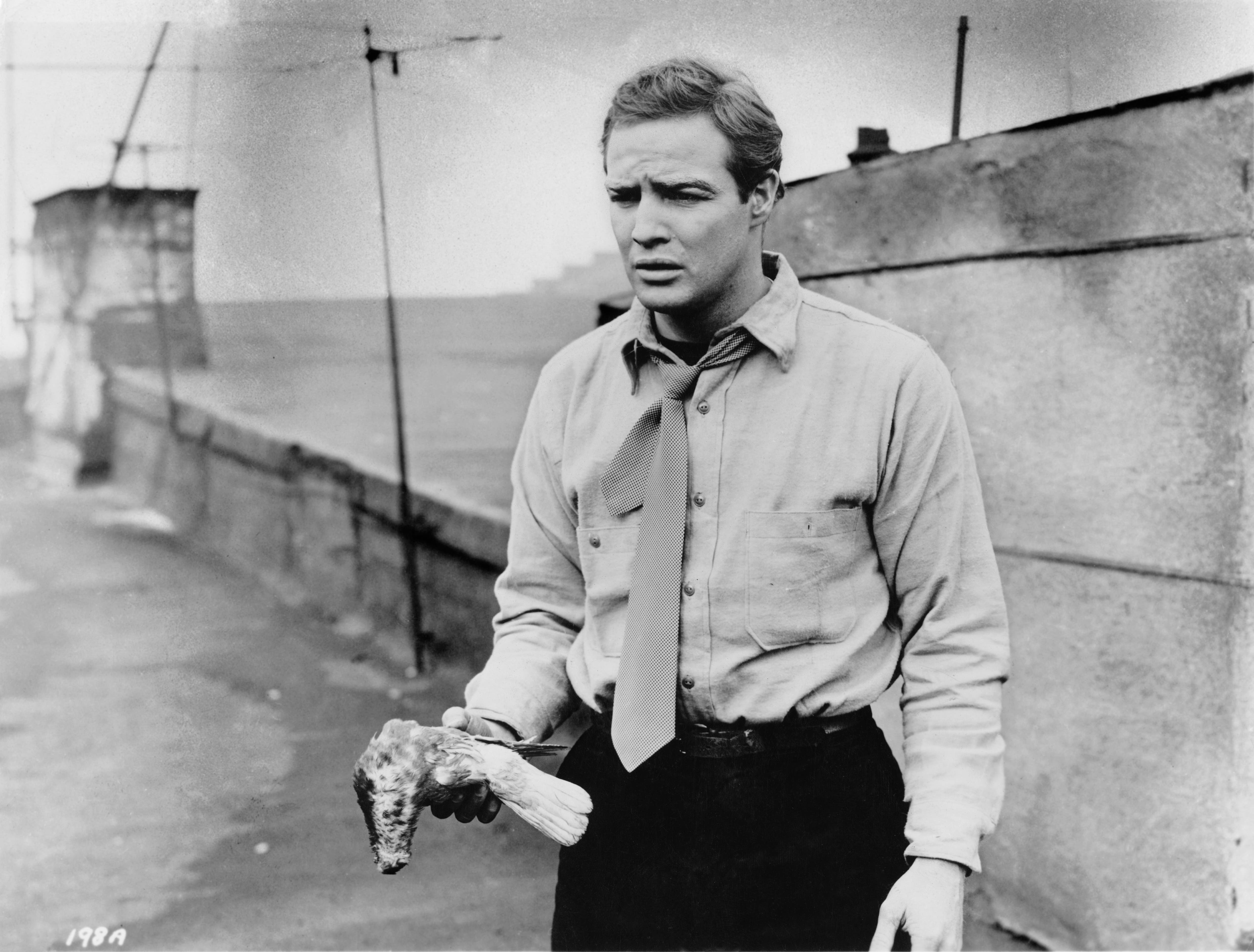 On this day in history, July 28, 1954, Oscar-winning film 'On the Waterfront' is released