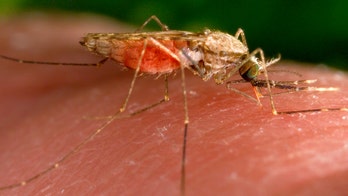 First US malaria cases diagnosed in decades: What to know about the disease