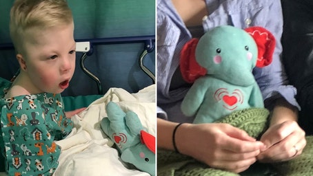 Mom from Iowa pleads for public's help after losing late son’s favorite stuffed animal filled with his ashes
