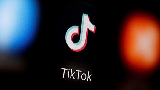 TikTok won't launch cross-border e-commerce services in Indonesia amid concerns