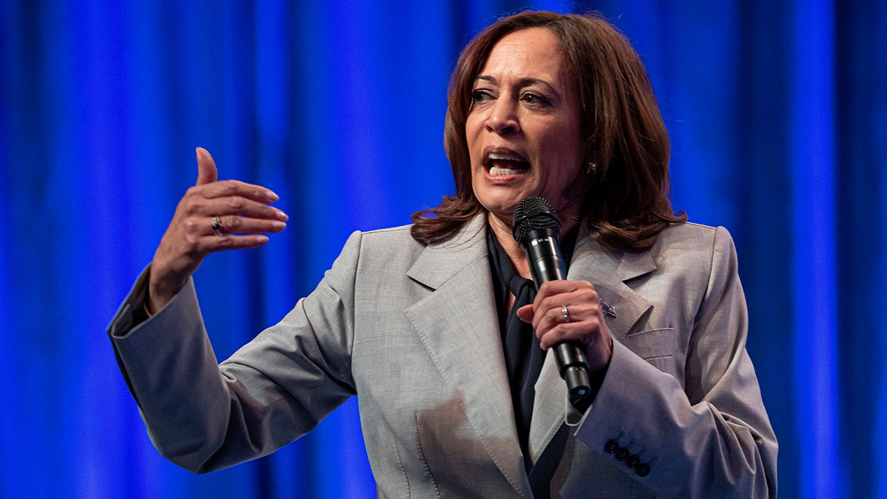 Vice President Kamala Harris talks about abortion in speech